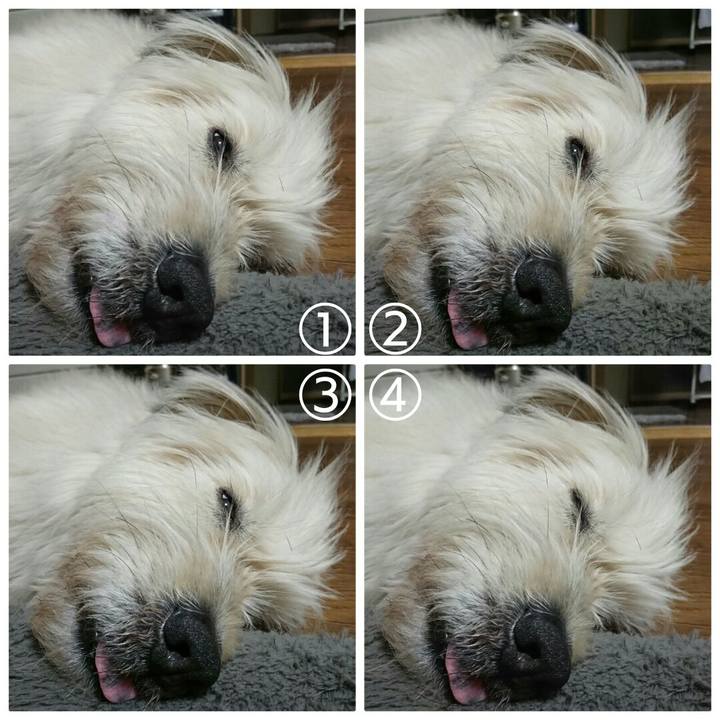 19dd8571 45b6 4606 afe1 18d43a892329