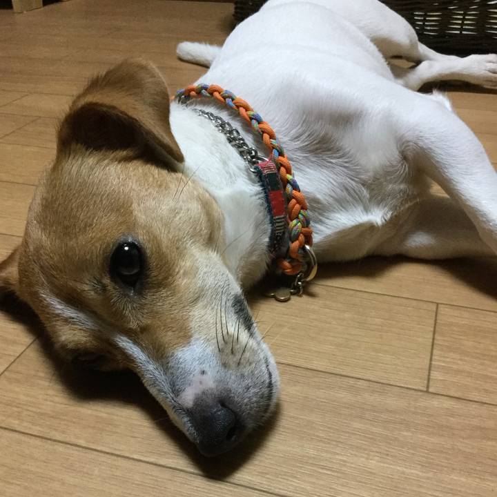 19dda6e3 e101 4f62 840a 821f52b4e42d