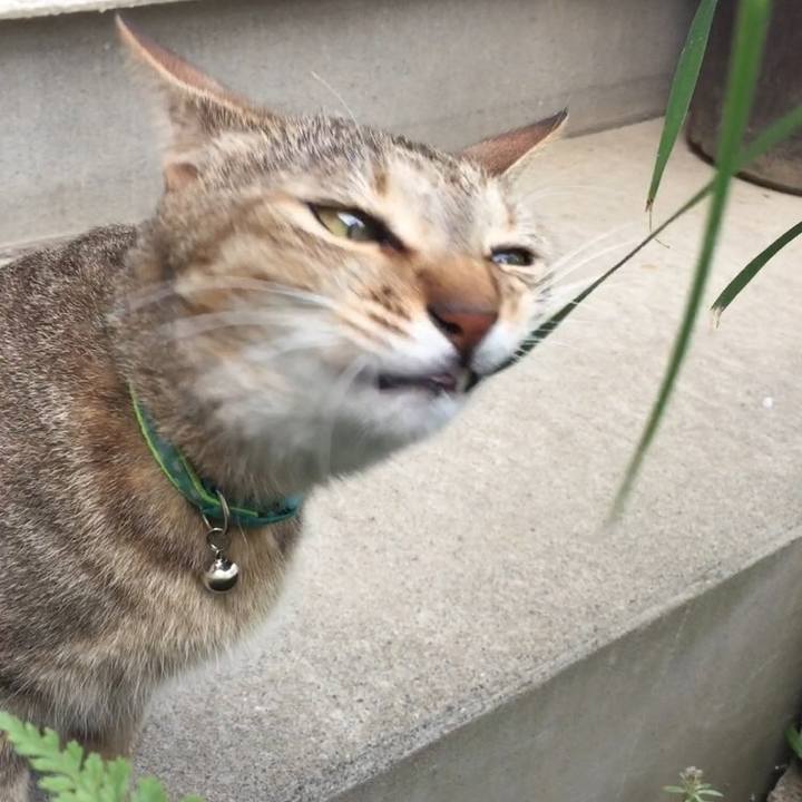 19de3ed6 9521 497c af1f 3e97f1344965