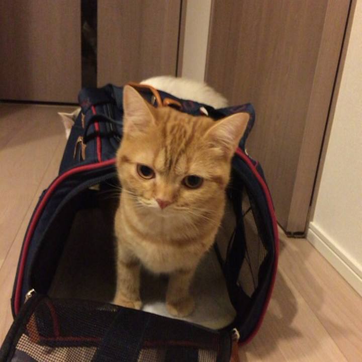 19dfc375 fc03 4bb7 8bc7 1fa809aa6d82