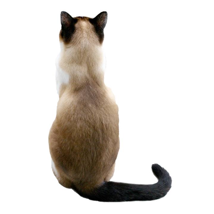 19e005fb d67d 42cd 9501 ea3e9cb7fac3