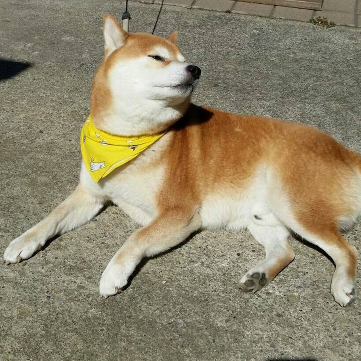 19e026fe 6cbe 4212 8421 8db6deba5eb4