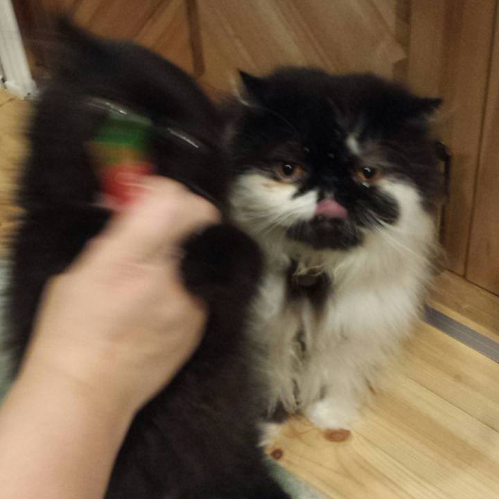 19e02868 c293 4e5c 93ee d5d9b8a5dac4