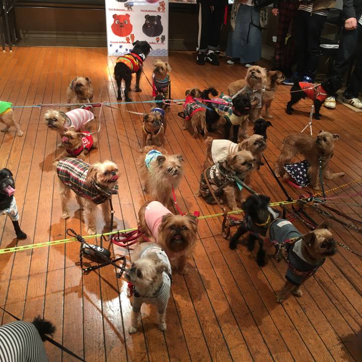 19e05005 6680 4512 9b8a 645a96b4a9fa