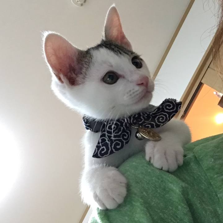 19e0bf3b cb3f 44a2 a1ab 12bb74e76174