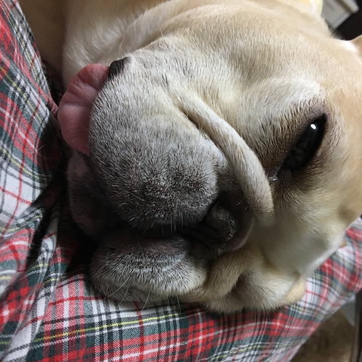 19e0c503 fd59 4b55 995f 73aa70eeb47c