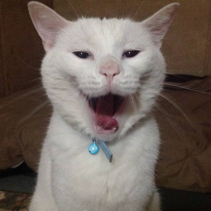 19e15e63 1a2c 45ab afd2 4c1f1ea9100b