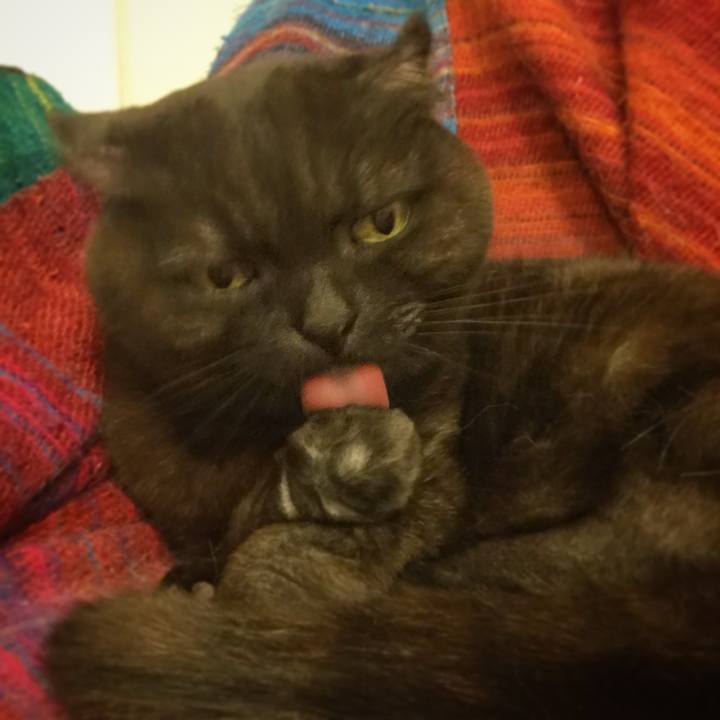 19e1aeb2 677c 4835 a9aa 23c6663fe96c