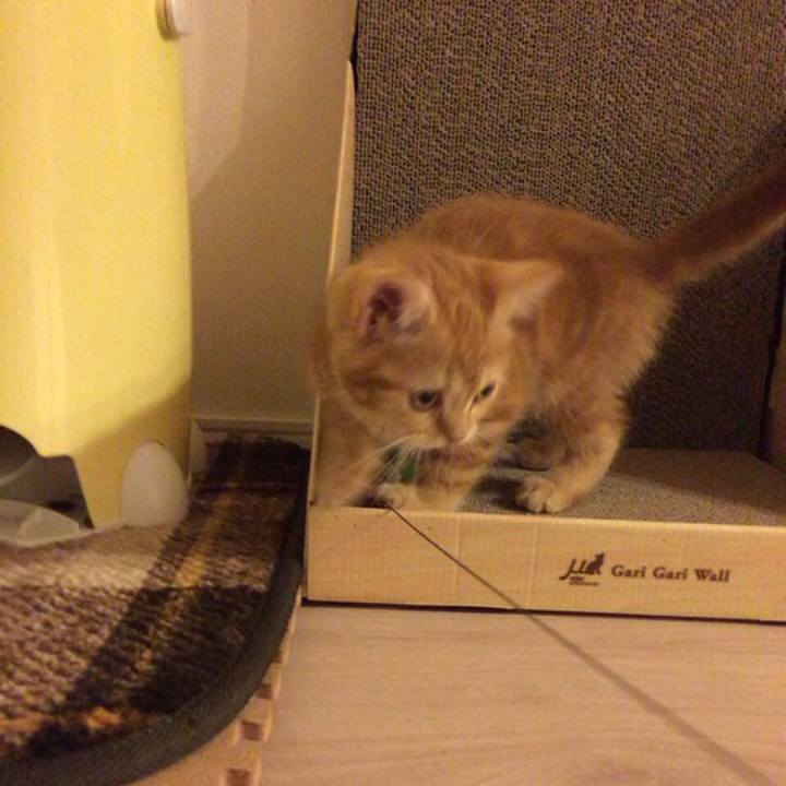 19e1fdfa a7e1 4af5 bd15 153248881365