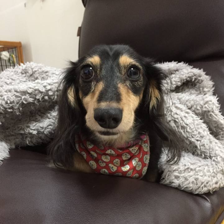 19e20a47 530c 4653 9746 8d001072e992