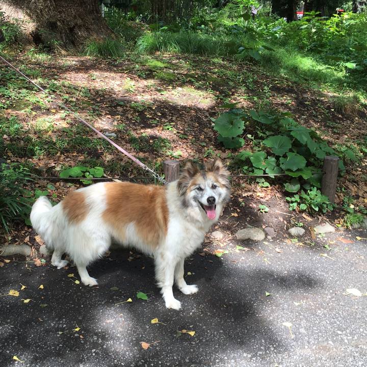 19e238e9 7035 4ec2 bcc8 8bbb9782cb11