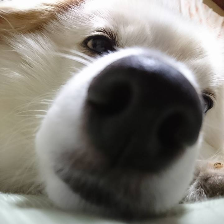 19e262ef b84f 48bf b1c7 fb03c14ef365