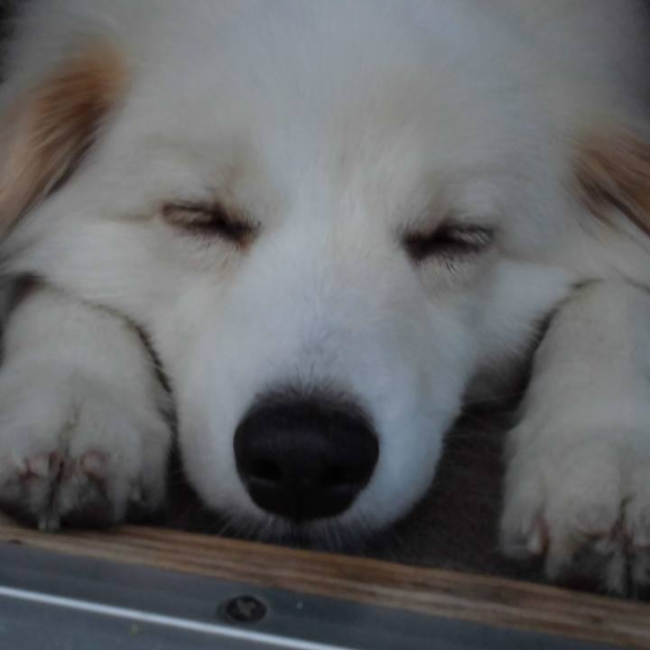 19e3b26e 994a 4d18 b656 a1e9a20a3af1