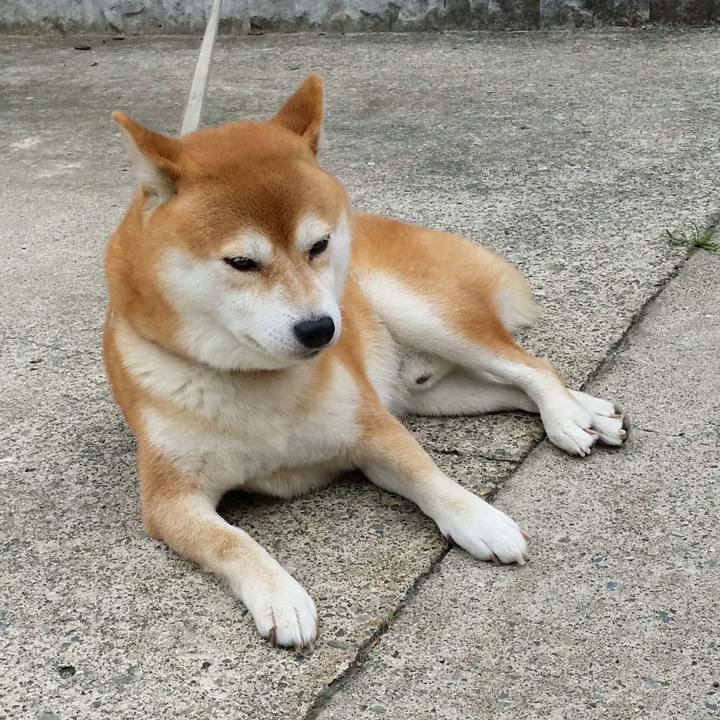 19e48909 0890 4a38 8024 a2b6faae8ba0