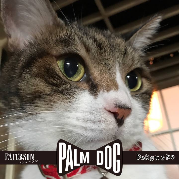 19e4a6da dcad 428f bc96 69ede9d3626d