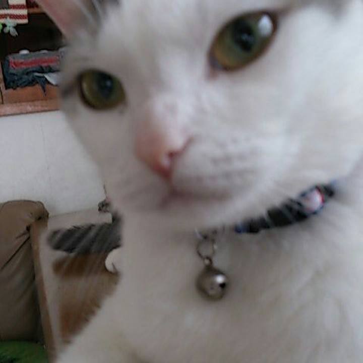 19e4ce84 7c67 4d93 85cf b2586559c032