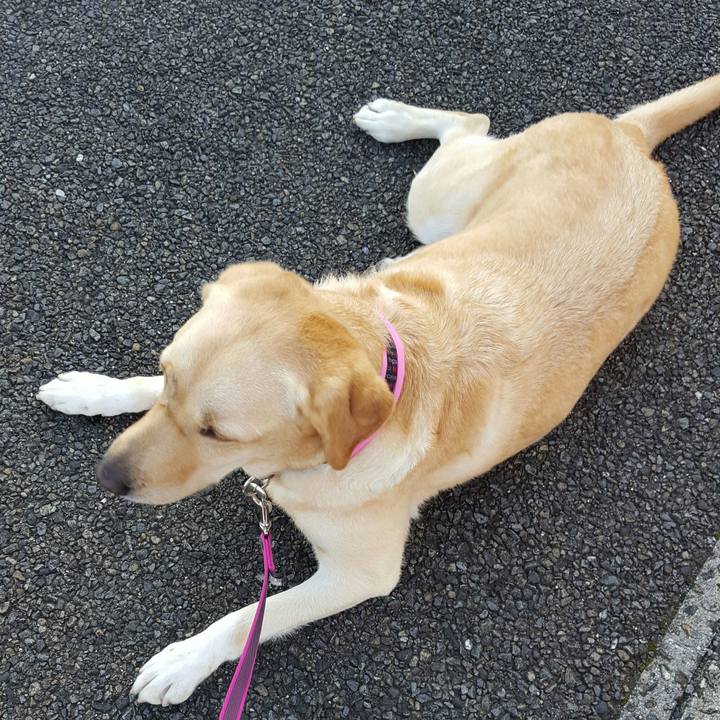 19e6123c a4df 40ce 83fa b0863b8e9ae3