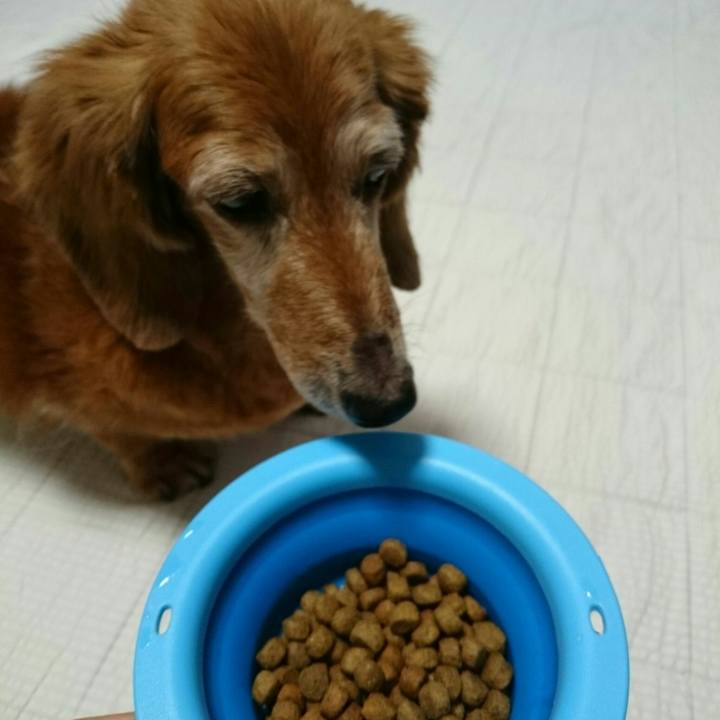 19e62eac 1e3e 474a b079 43aa6570fbd8