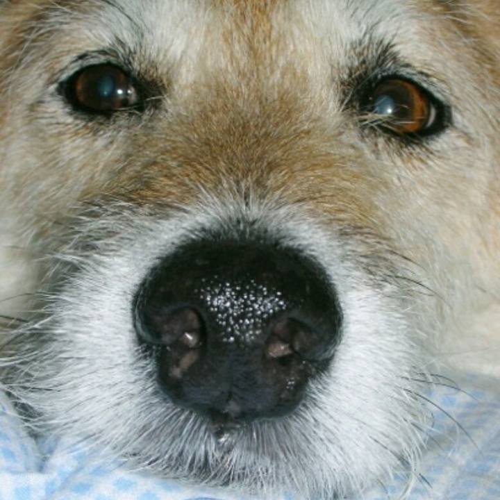 19e650dd 2e78 4a6d 8fcf 3db0ddec57d4