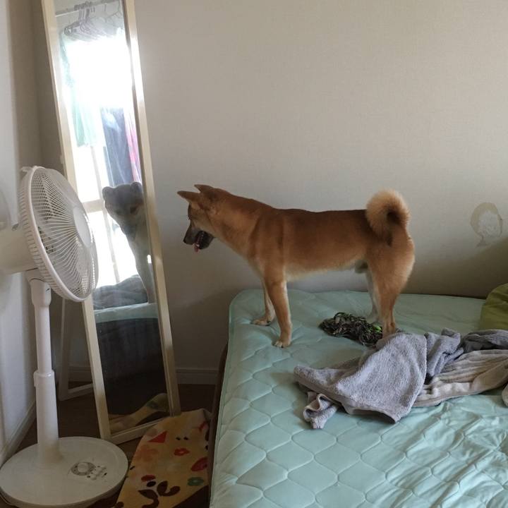 19e8c197 7249 416a 8b07 dceff0693f38