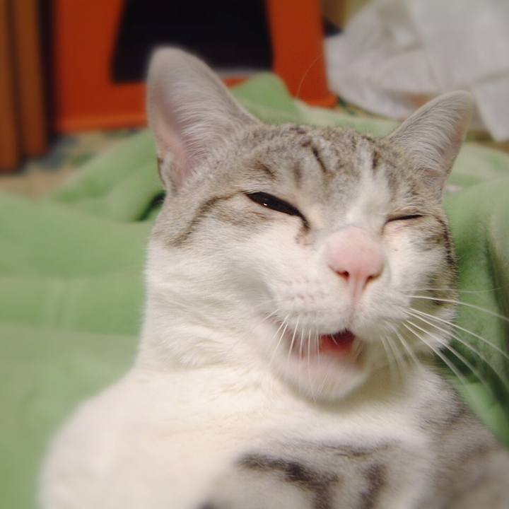 19e8c479 ad3d 4055 b44d 24d413b6e87e