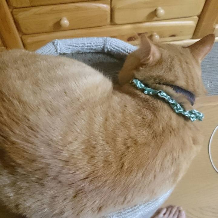 19e8f7fe adf4 42ae b6e1 8b194dae0739