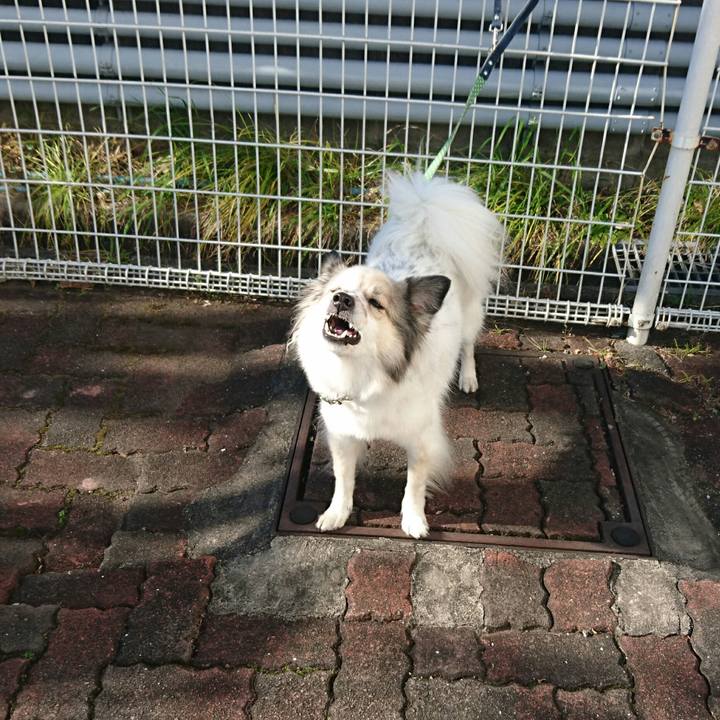 19e9f2e8 280c 4fa8 9687 f6e747f126e3