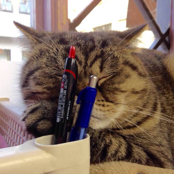 19ea267f 20d7 481e b861 5563590918c9