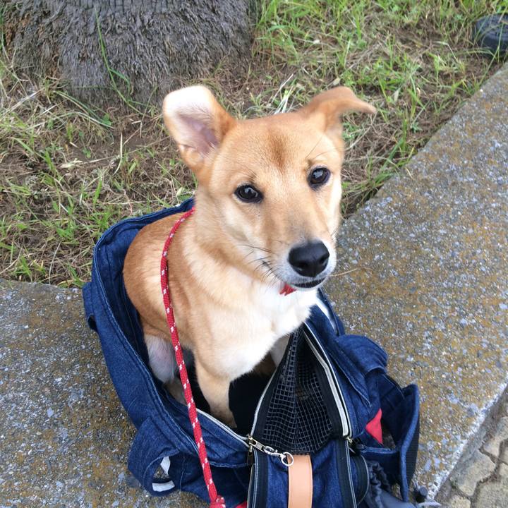 19eaa540 9cf4 4a78 80ad f79e58b73b16