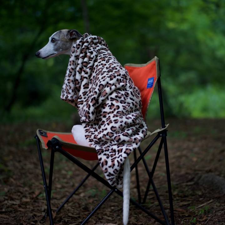 19eafde4 a23f 479f a96b cf868336aaa8