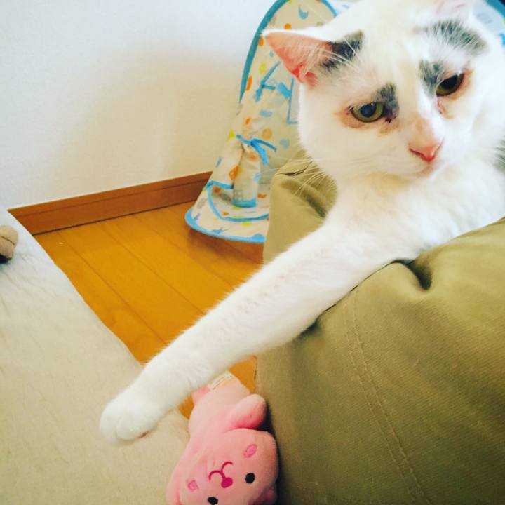 19eb1feb 9a1e 4fb0 bd1d 8fce7a34dcf3