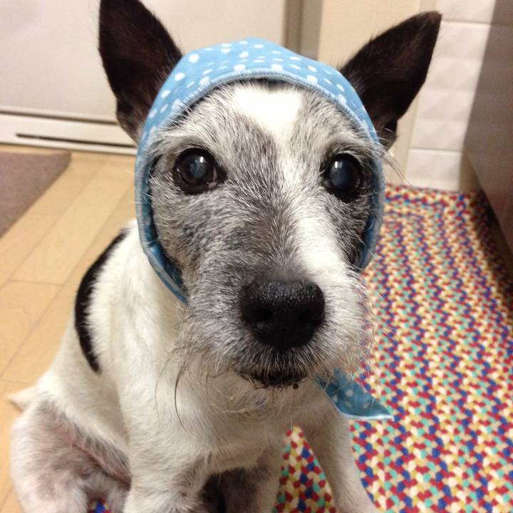 19eb5806 7c6b 4f41 8564 da2134f6b877