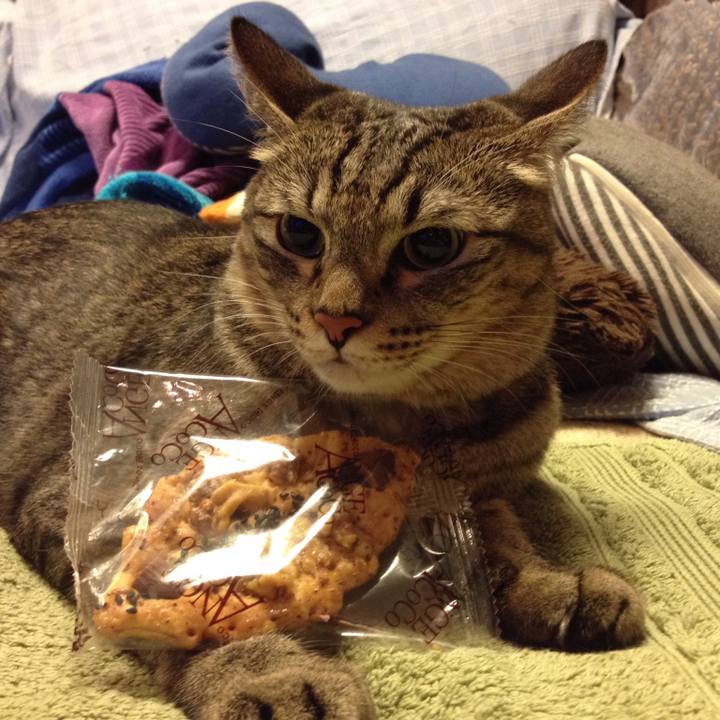 19eb8ad6 5d62 467a bb80 a4fa31525f3d