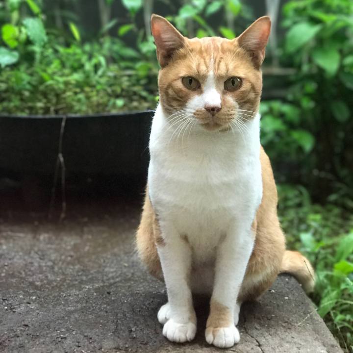 19ec64a4 b1eb 418e 84d0 5e66d54132f7