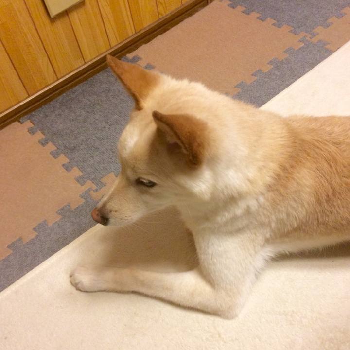 19eccf61 d822 49fc b4e7 a9629624ea70