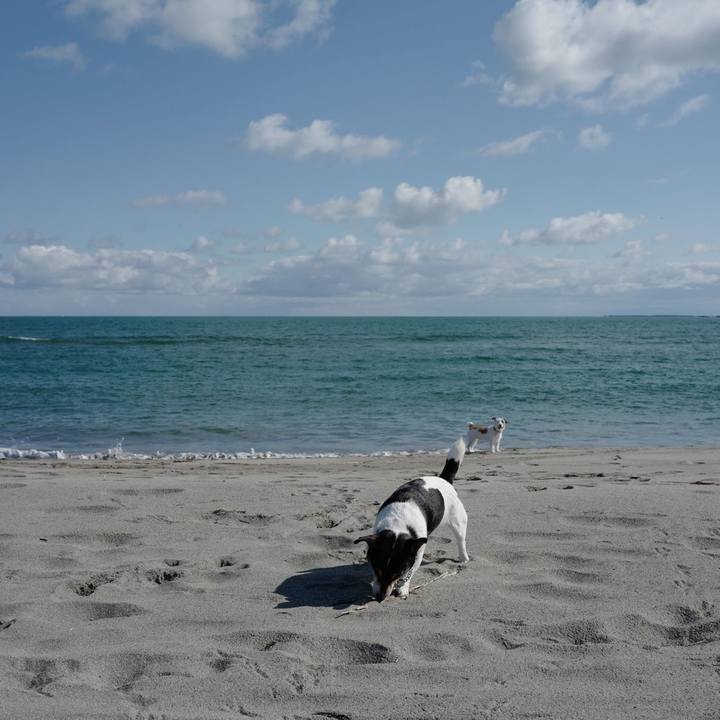 19ed0611 3fe8 43c7 92b4 6f5f80cca1be