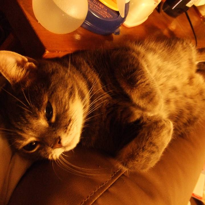 19ed5b4e 9386 4e65 a263 05bd2975748c