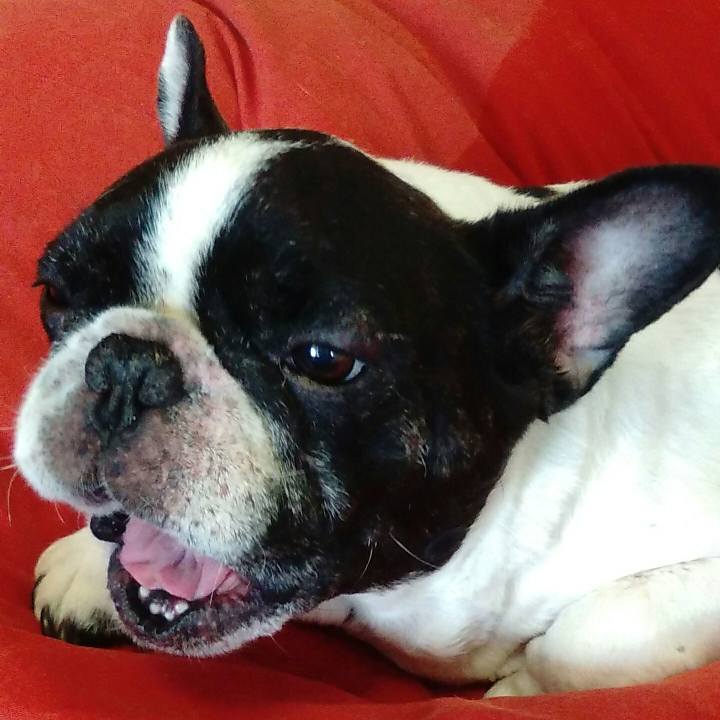 19ed6485 620b 4d6b ac4a 7a028a39800d