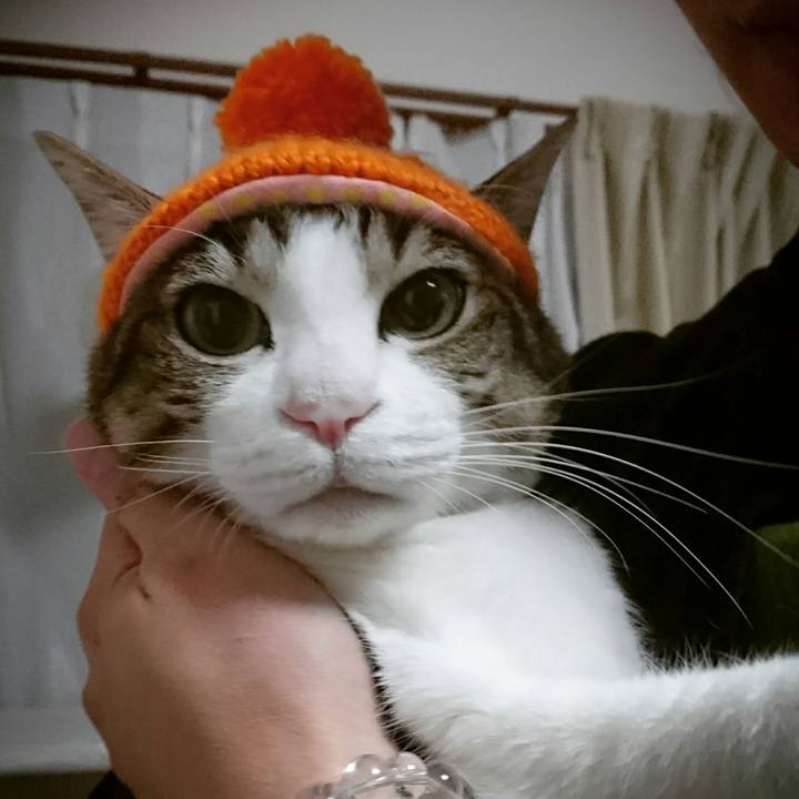 19ede1dc 0960 41f0 9e7f 66ef6e2dffe5