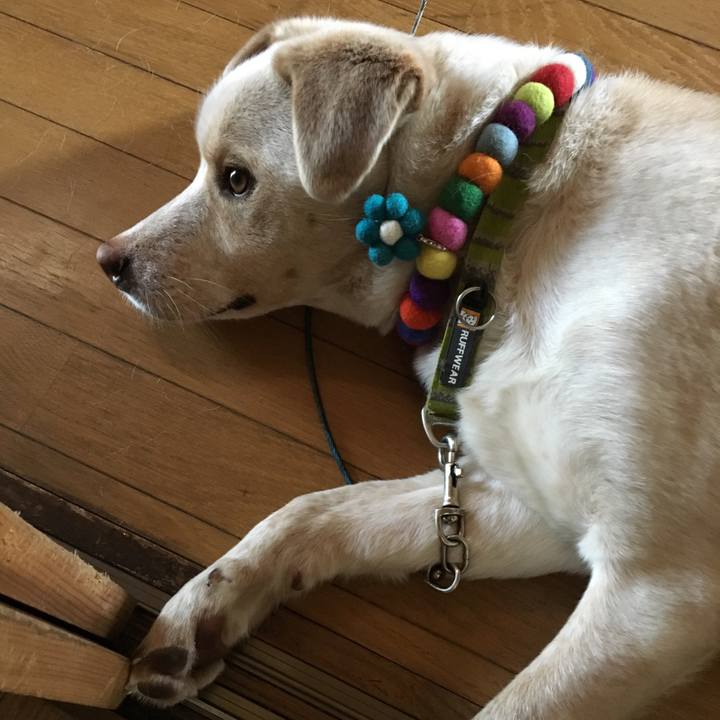 19ee0531 c675 4949 b7eb 1b0cb059a05b