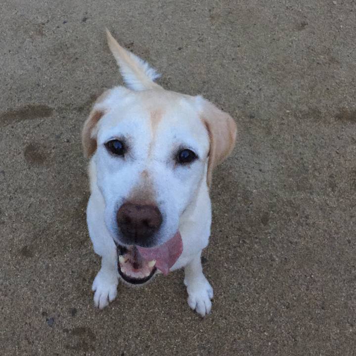 19ee59bd db5c 4b1a ae52 f034cbe3332c