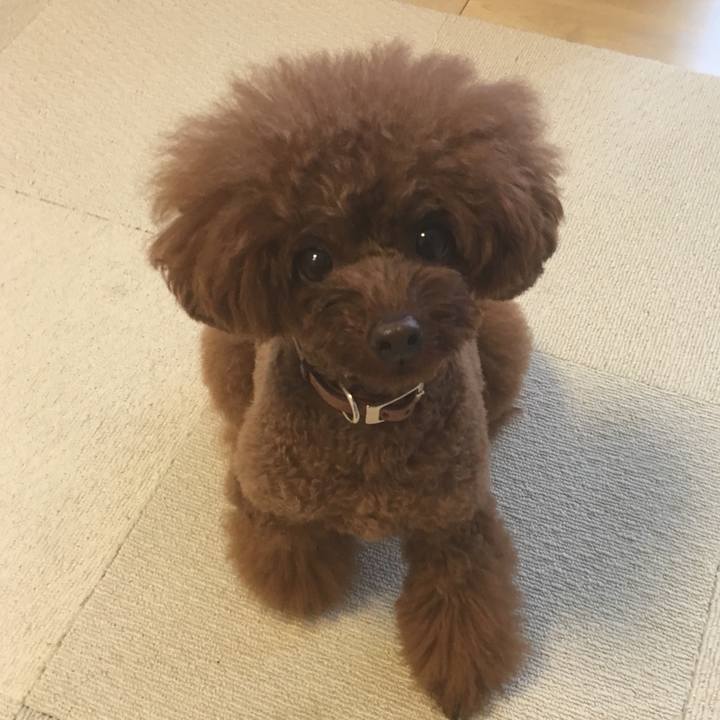 19ee78f7 68da 42cc a58a 7d06920a163f