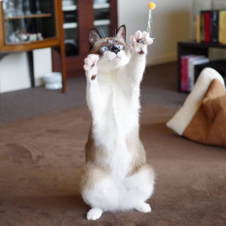 19eeb29a fa1f 477d a11b 4314e1fafc8a