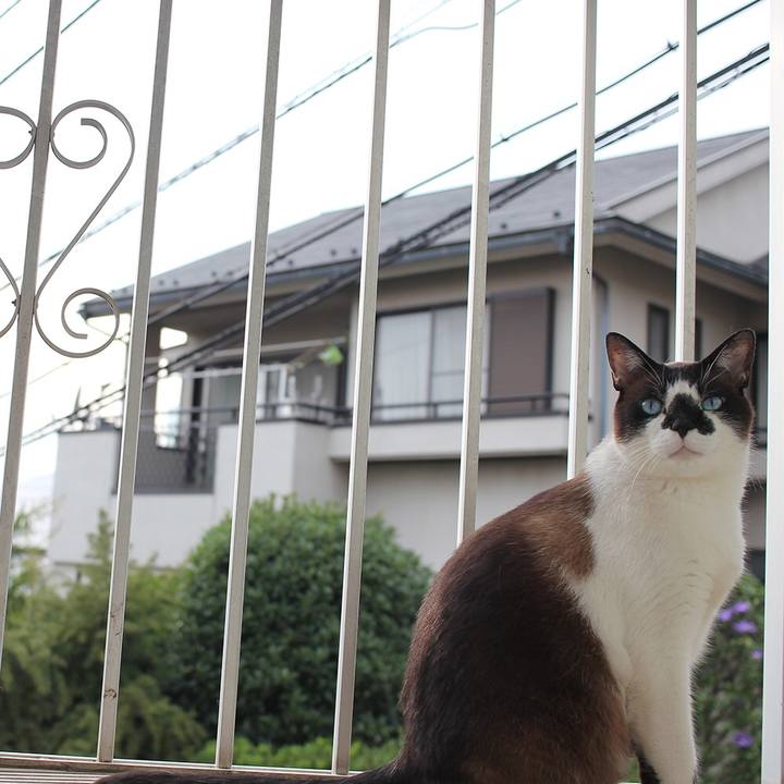 19eed52e a5b5 448f 88a7 8d2d9c0fa74c