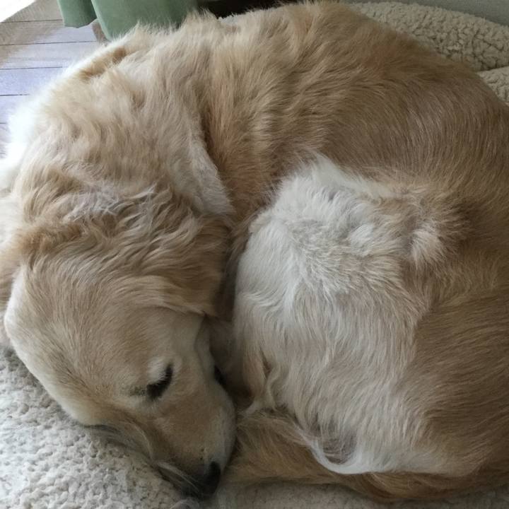 19ef0afa 8c1c 495c 8080 7bd478283c2d