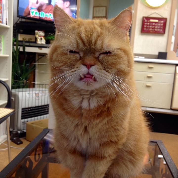 19f03758 c158 4dcb 82a9 4507fb3577e8