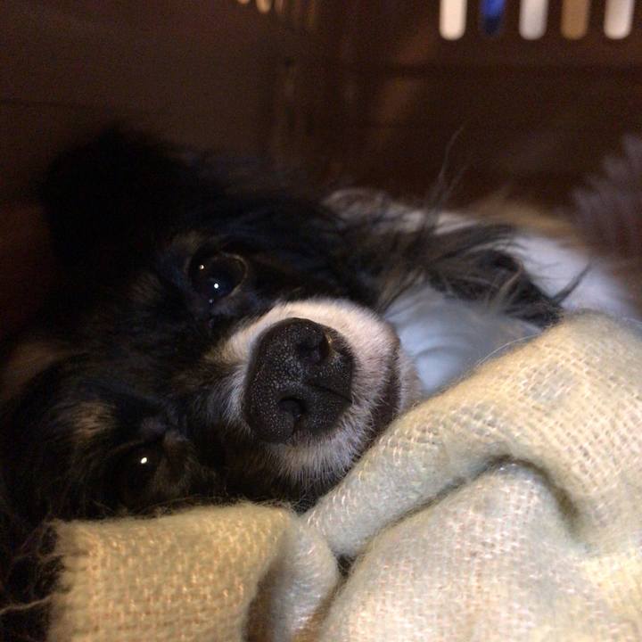 19f07d7d 01e1 466e a39b 1be67625c051