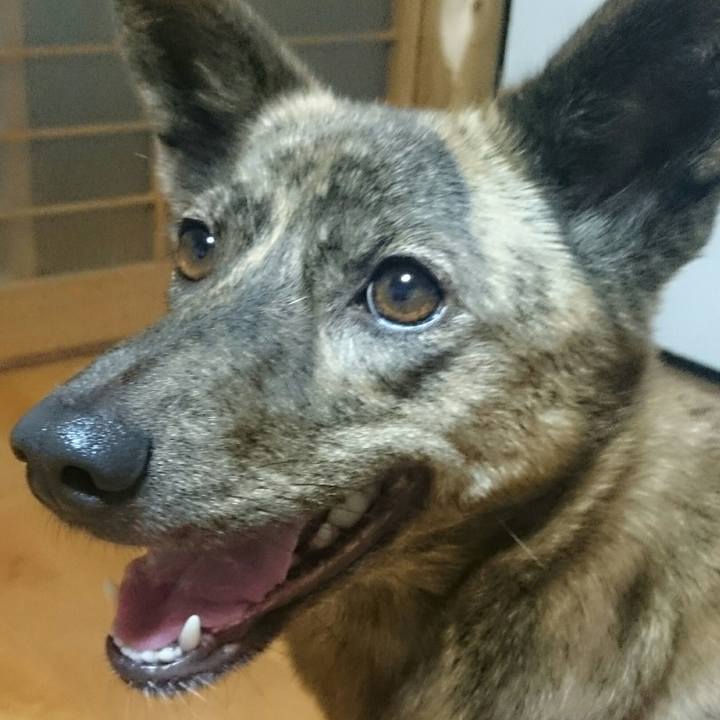 19f08df7 89df 4c88 a937 0164d082bad5