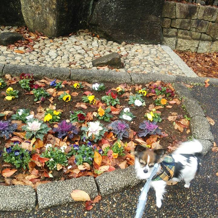 19f0ac12 2c28 41c1 81f1 058c72e3810a