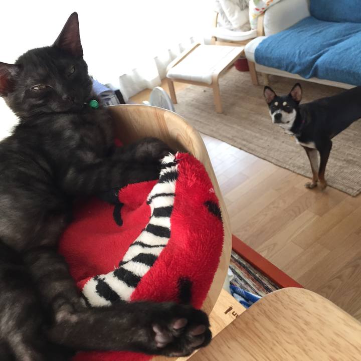 19f18ce9 52c1 4f2f 9463 4c0cd21d9d6a